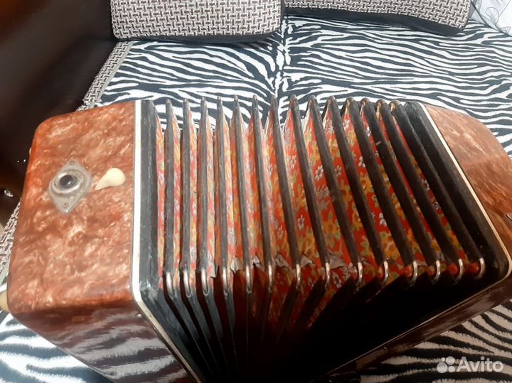 Гармонь Беларусь