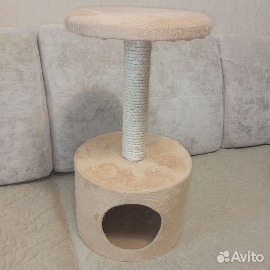 Когтеточка для кошек