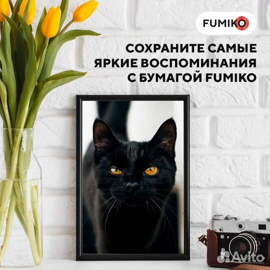 Фотобумага fumiko матовая односторонняя 200г/10х1