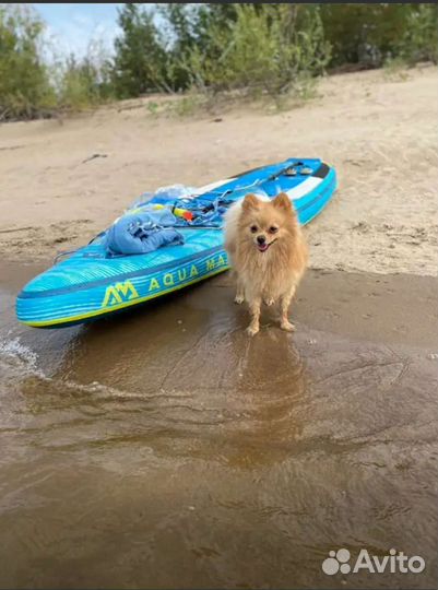 Sup board aqua marina в Чите