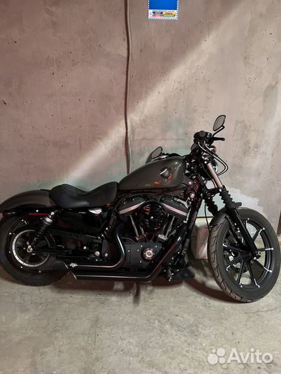 Harley-Davidson Sportster iron 883