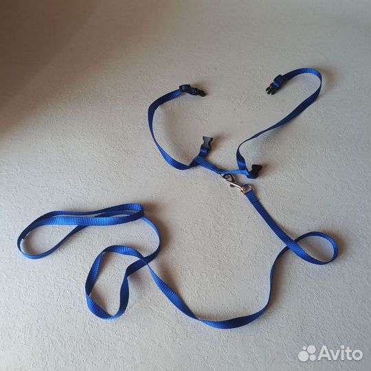 Шлейка с поводком для кошки поводок