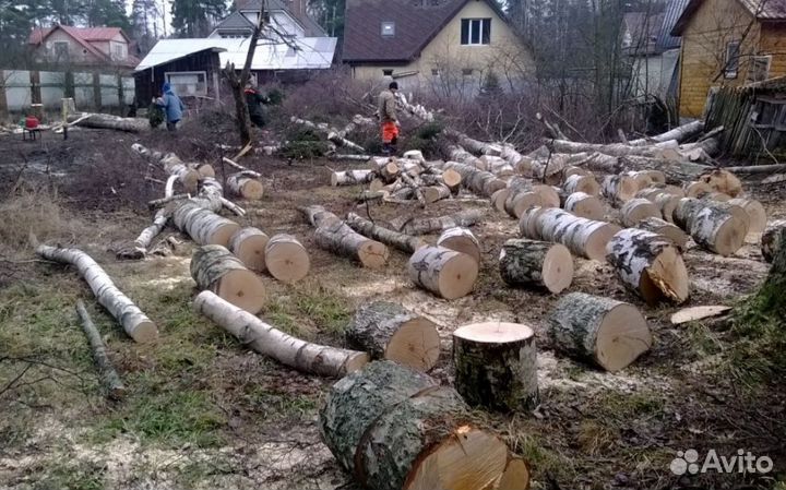 Расчистка участка Спил деревьев Вывоз мусора
