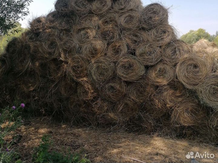 Сено луговое