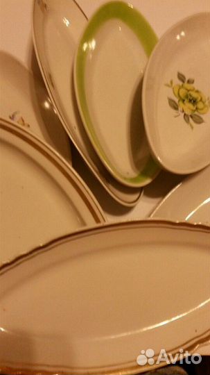 Селедочницы разные