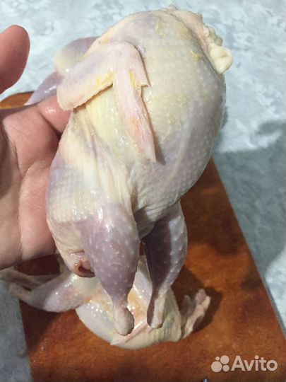 Мясо перепелки