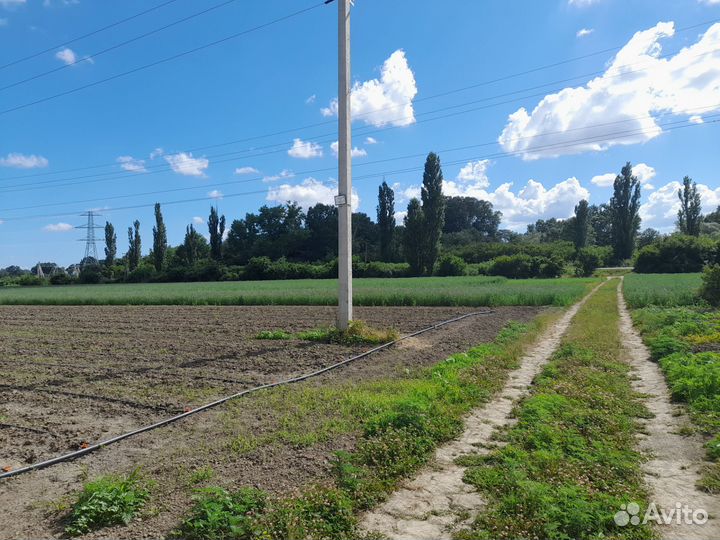 Земельных участок 5 га