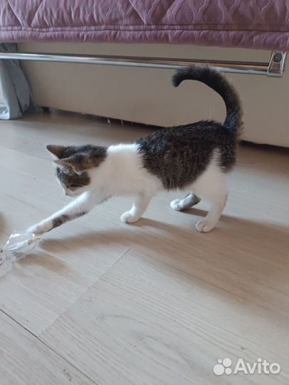 Нюша ласкуша