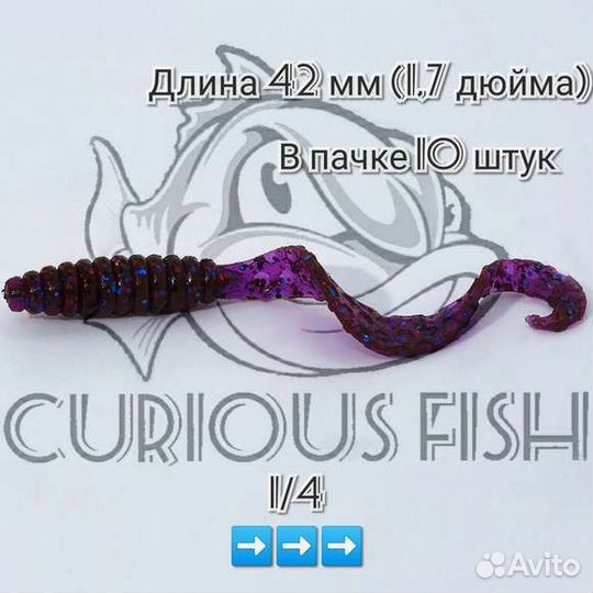 Curious Fish Curly grub 1.7 дюйма (4,2 см)