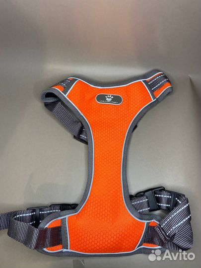 Шлейка для собаки