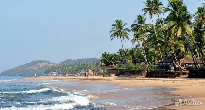 Поездка на гоа от 7 дней