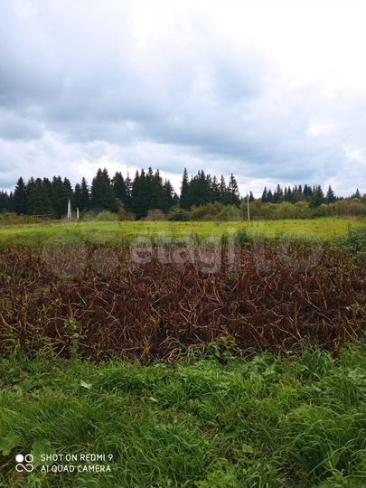 Участок 17,8 сот. (личное подсобное хозяйство (лпх))