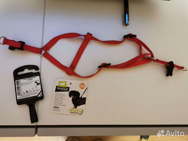 Шлейка для маленькой собаки