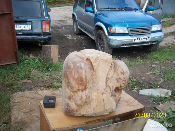 Кап березовый