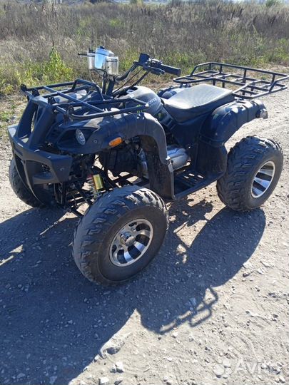 Tiger sport 250