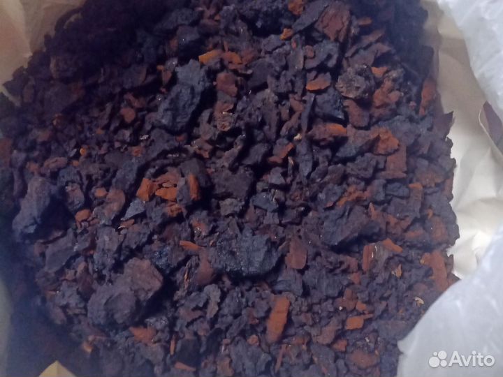 Чага березовая цена за 1кг