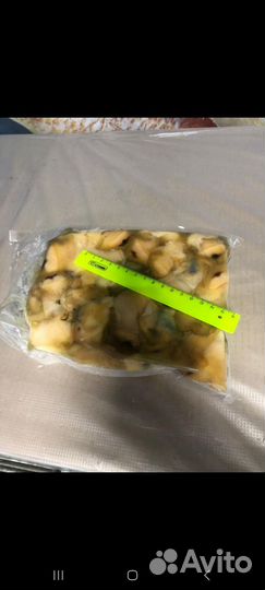 Мясо рапана