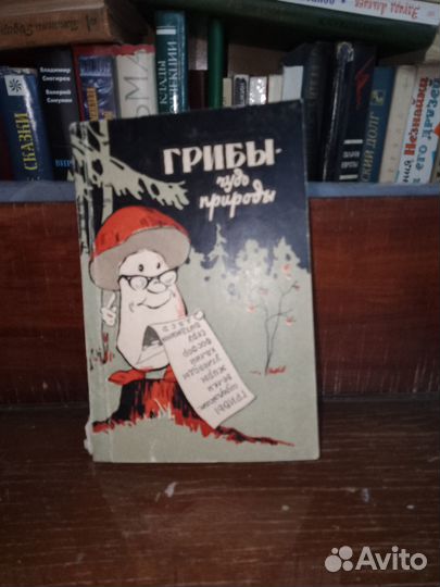 Грибы - чудо природы Федяев Василий Михайлович