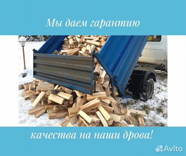 Дрова березовые