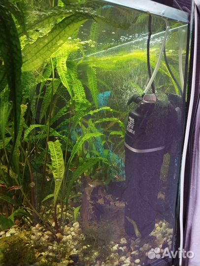 Аквариум 100 литров