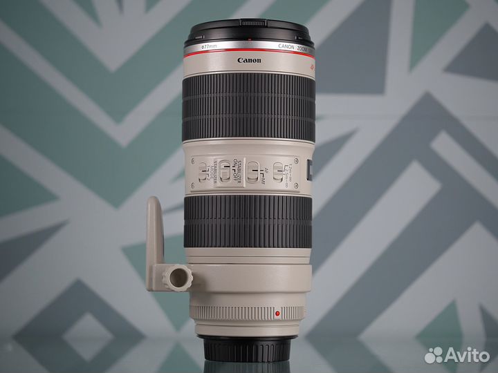 Canon EF 70-200mm f/2.8L IS II USM