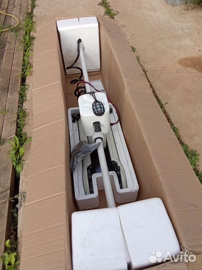 Хасвинг кайман