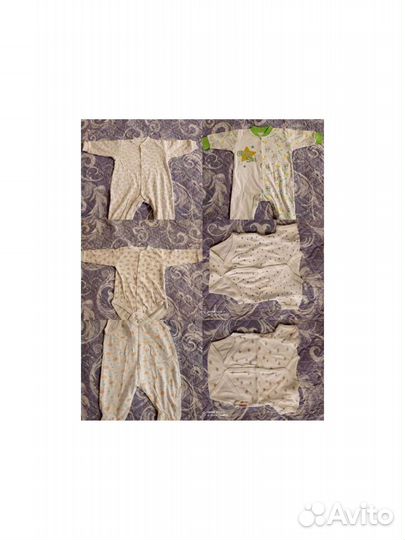 Боди для мальчика