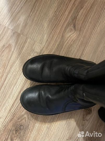 Сапоги детские зима ecco