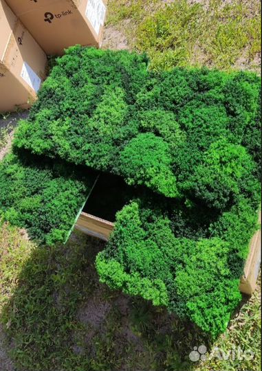 Стабилизированный мох для кашпо панно и декора