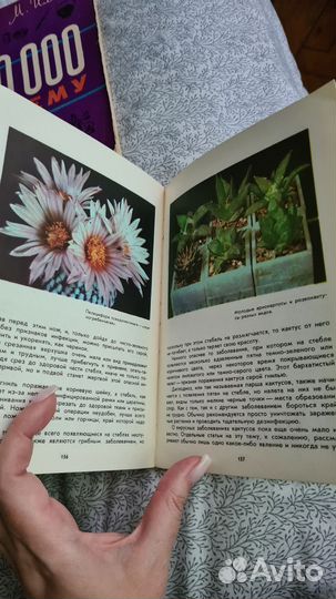 Книга о кактусах И. А.Залетаева