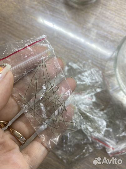 Семена прострела (сон трава)