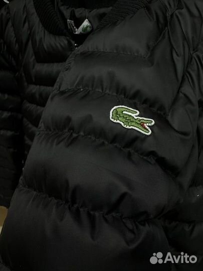 Весенняя куртка Lacoste