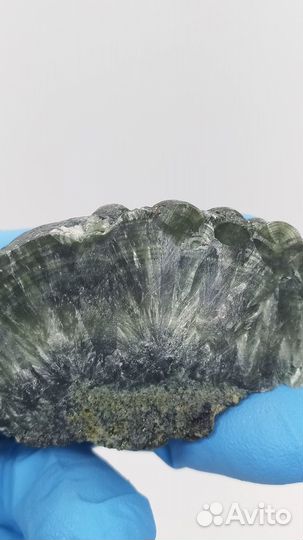 Серафинит, клинохлор