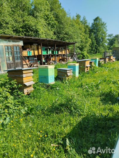 Улей для пчел бу