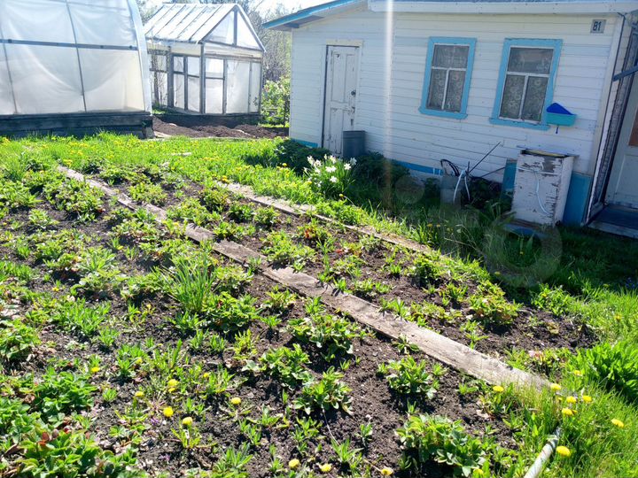 Участок 5,2 сот. (СНТ, ДНП)