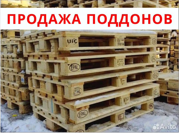 Поддоны Фрязино