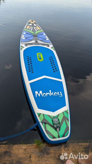 Аренда сап борда до 4 шт враз