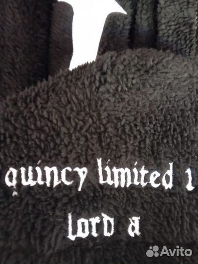 Quincy hoodie