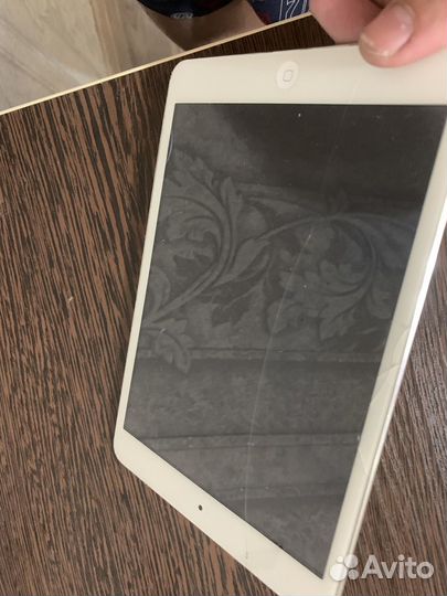 iPad mini 1
