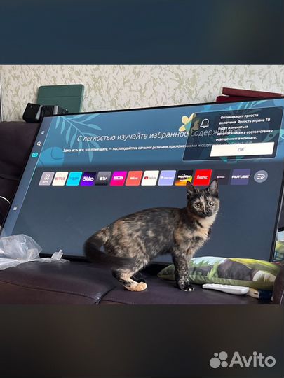 Новый тв Samsung 55