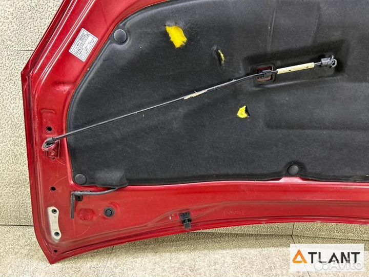 Капот toyota prius