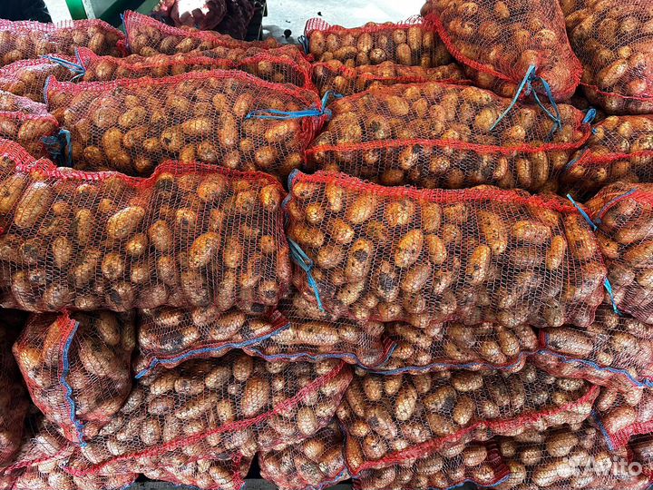 Картофель оптом от производителя