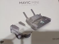 DJI mavic mini