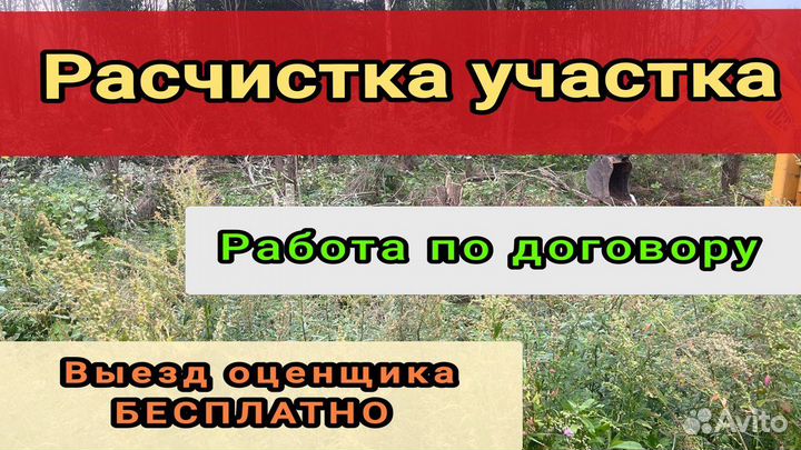 Сезонная расчистка участка в Домодедово
