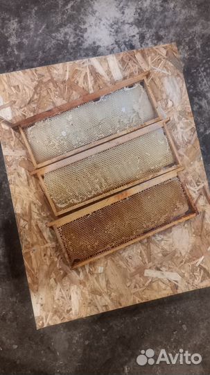 Сушь для пчёл 145 рамка