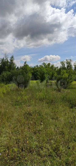 Участок 12 сот. (СНТ, ДНП)