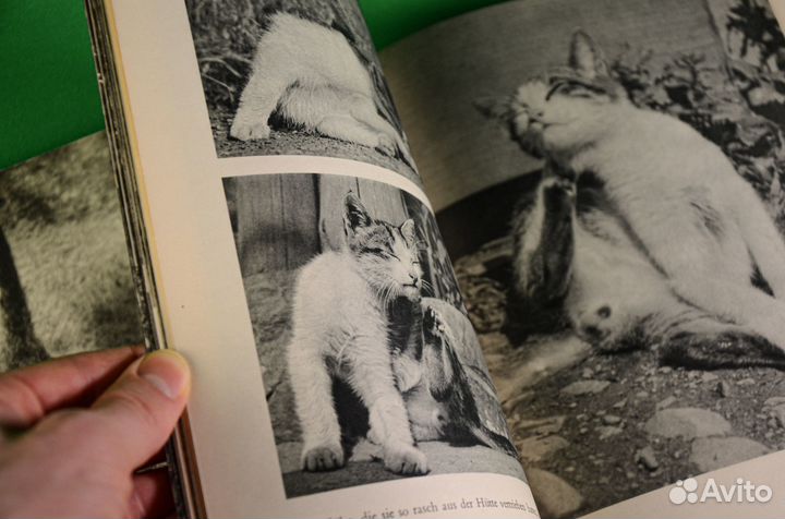 Самая милая книга на немецком. Винтаж