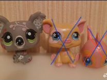 Коала Littlest pet shop