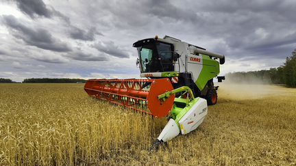 Комбайн Claas Dominator 370, 2023