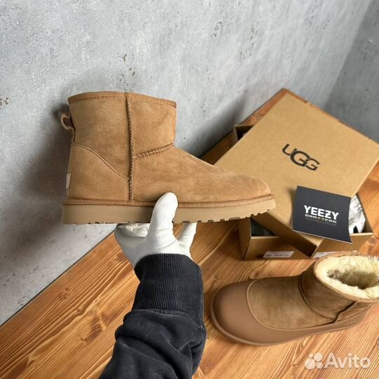 Мужские и Женские Ugg Mini II Chestnut + галоши